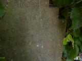 image of grave number 507613
